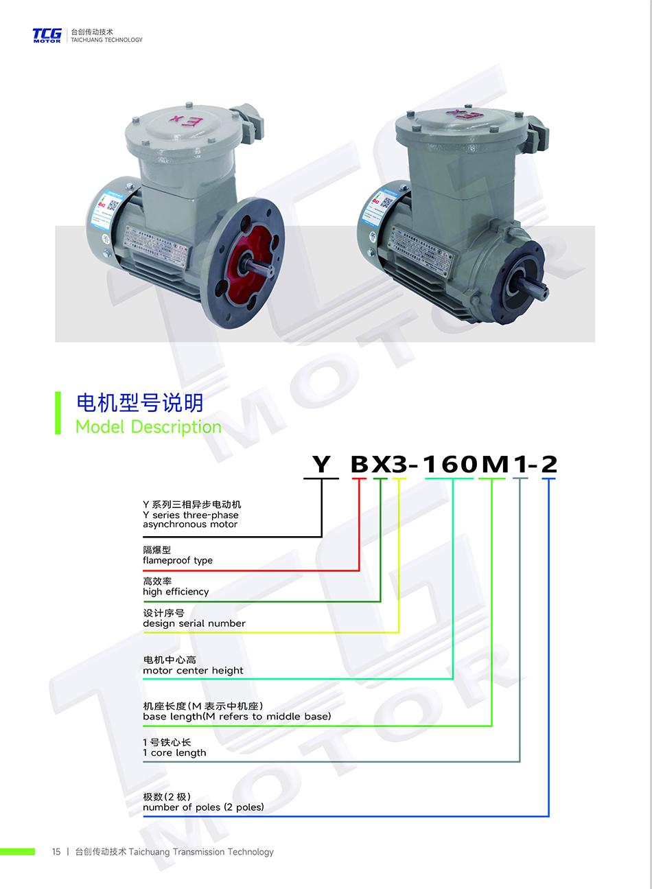 BT4防爆电机B3